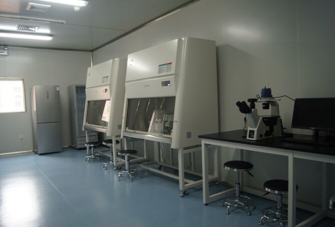 醫(yī)學(xué)實(shí)驗(yàn)室空間要求？